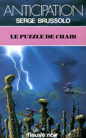 [AFN 01] • Le Puzzle de Chair